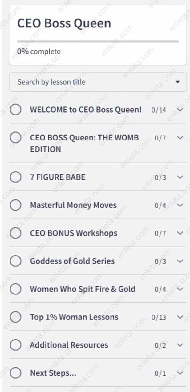 CEO Boss Queen by Mina Irfan