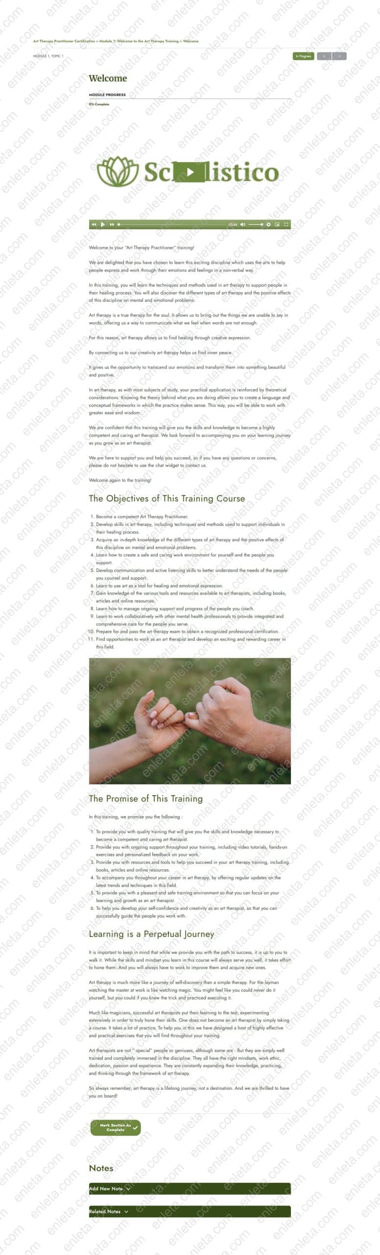 The Complete Therapeutic Arts Certification Bundle by Scholistico The Complete Therapeutic Arts Certification Bundle by Scholistico