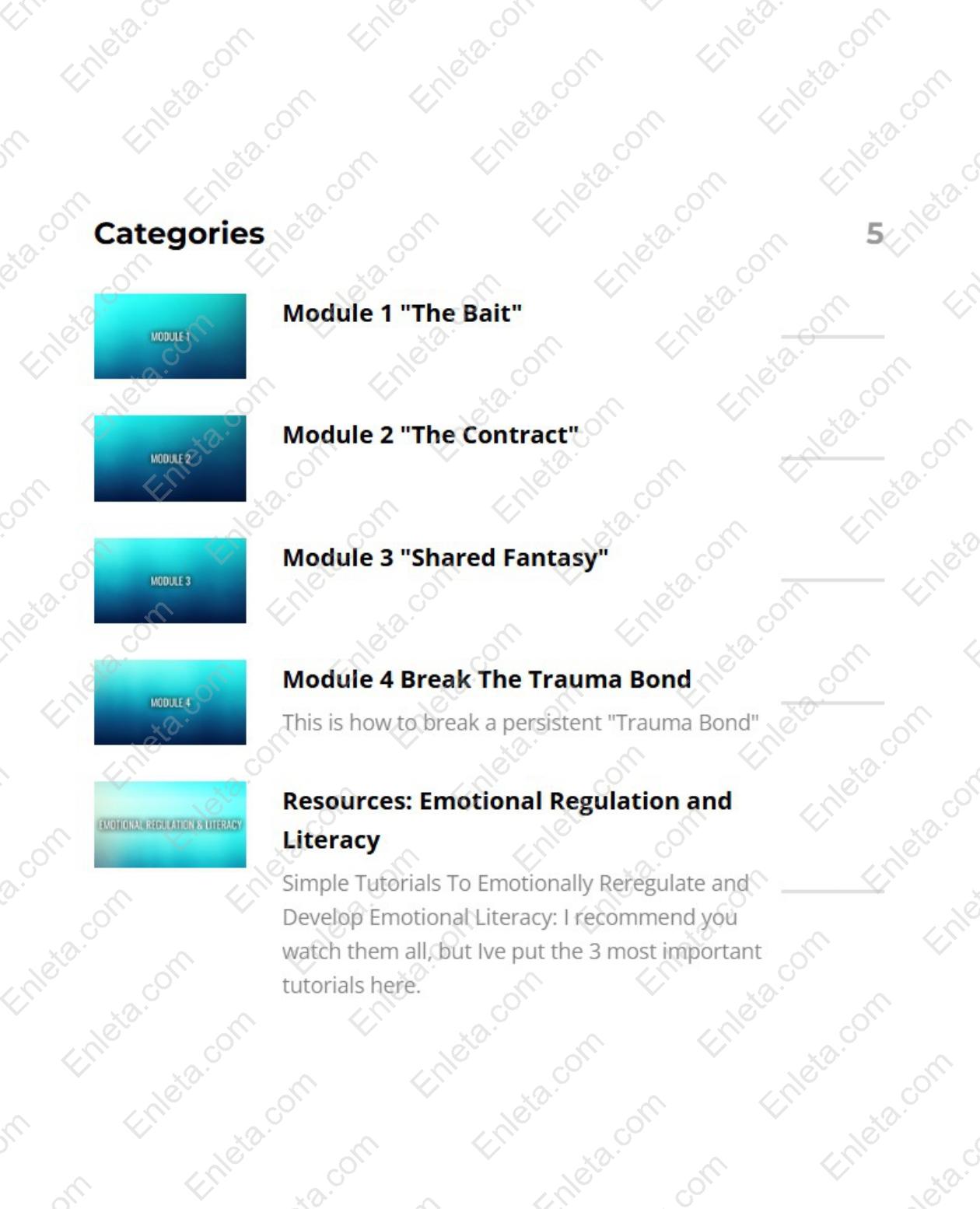 Unplug From The Matrix of Narcissistic Abuse Emotional Freedom and Healing Program