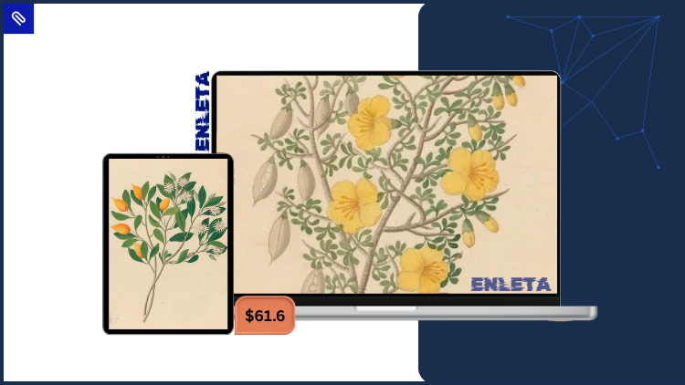 Creating Neurological Balance and Ease with David Zemach-Bersin creating-neurological-balance-and-ease