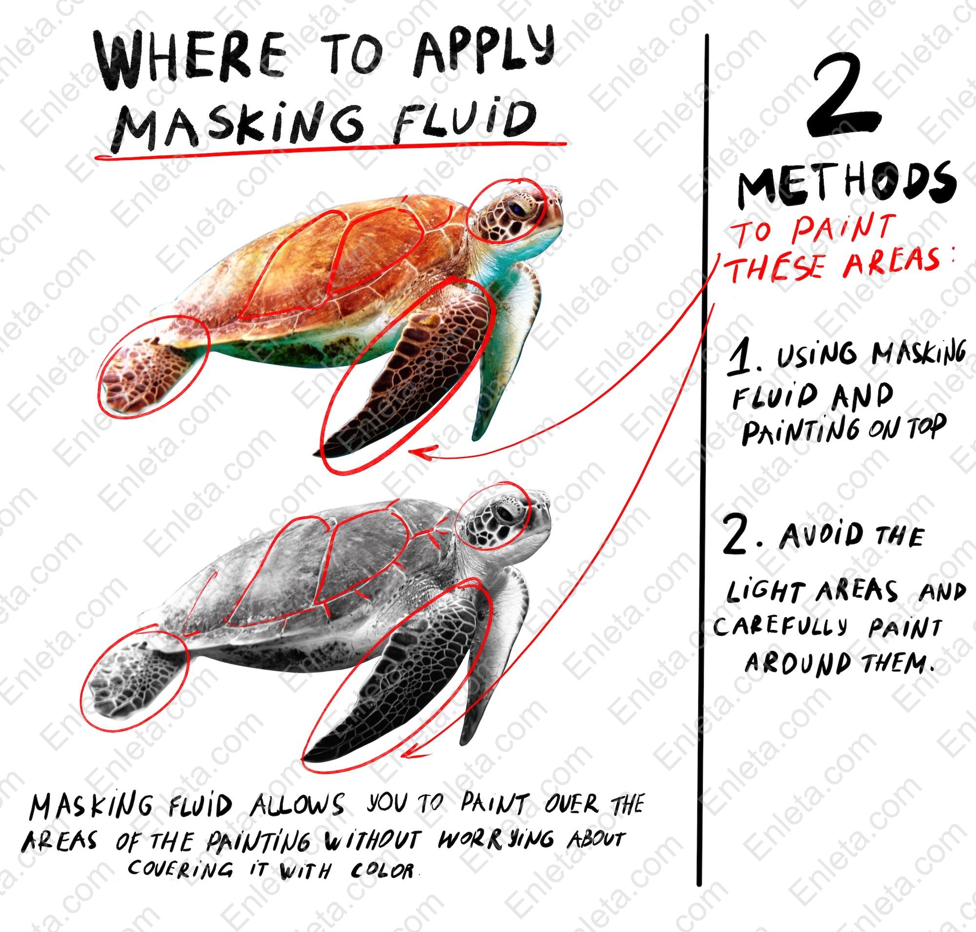 Painting Masterclass Pack Vol 1 by Anastasiia Morozova TURTLE SCHEME