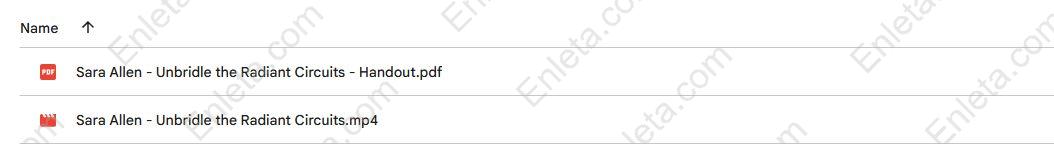 Unbridle the Radiant Circuits | Transform Your Soul Energy System Transform Your Soul Energy System