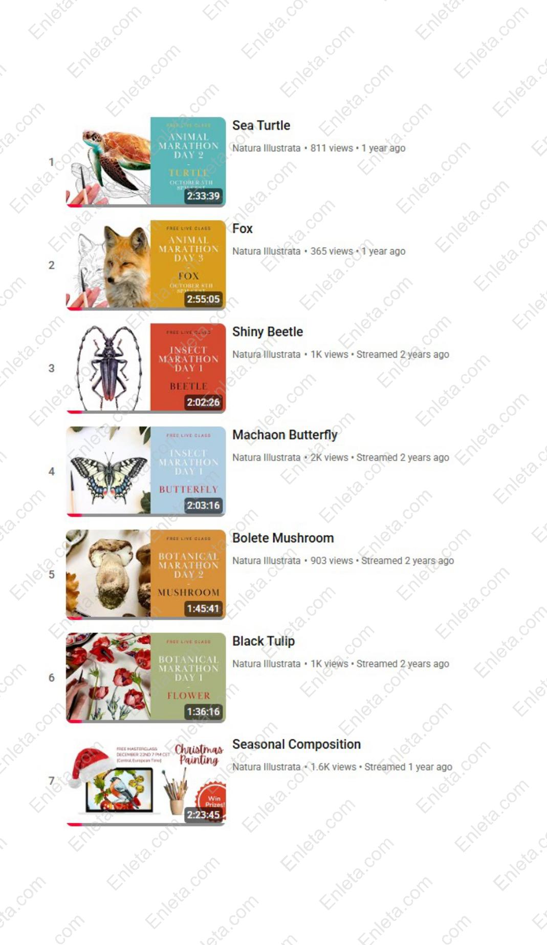 Painting Masterclass Pack Vol 1 by Anastasiia Morozova painting for beginners